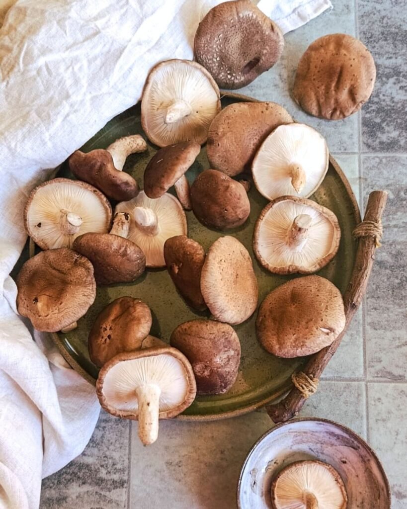 Como Congelar Cogumelos