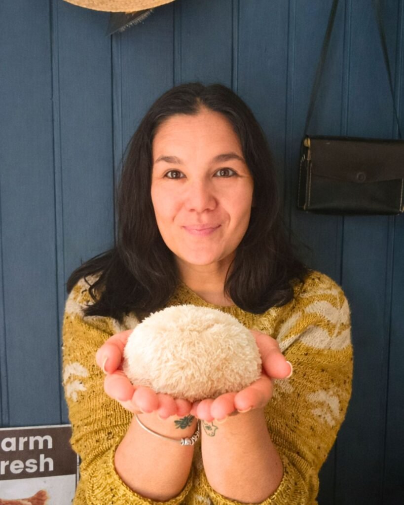 Leão Cogumelos Sobre