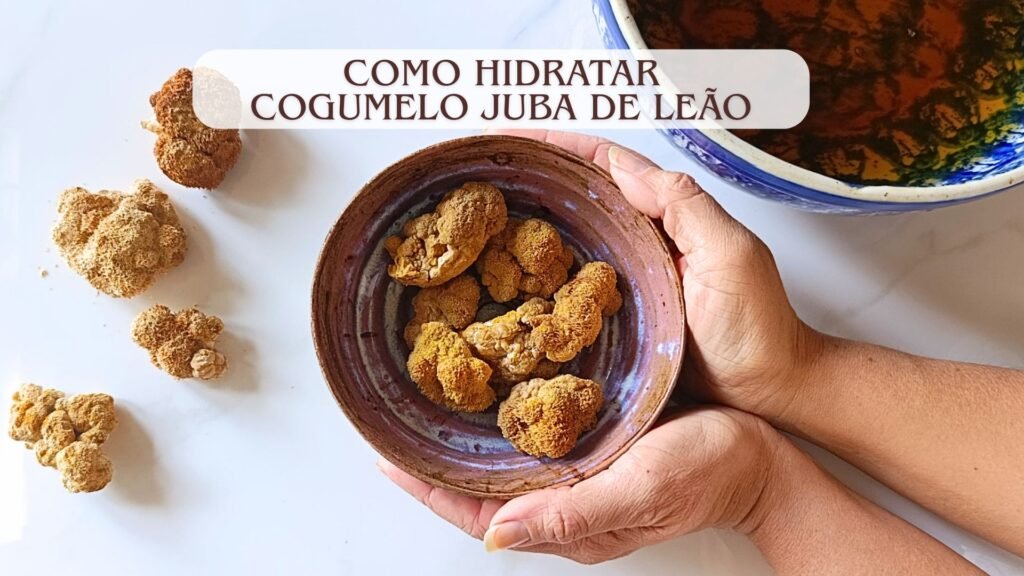 como-hidratar-cogumelo-juba-de-leao Leao Cogumelos